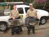 Animal Capture And Removal: Jeremy with Mike Rowe from Dirty Jobs.