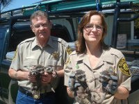 Animal Capture And Removal: Ron and Becky Bailey with Baby Raccoons.